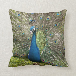 Peacock Kussen