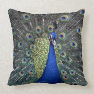 Peacock Kussen