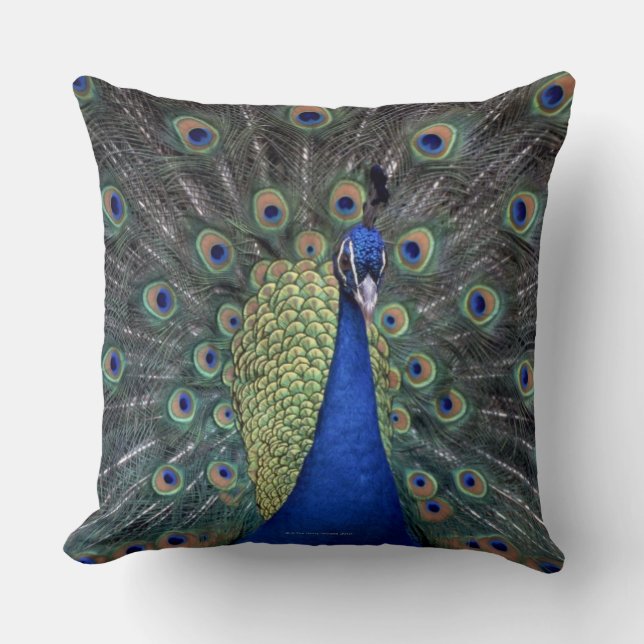 Peacock Kussen (Voorkant)