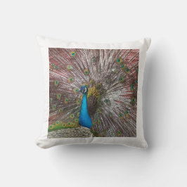 Peacock Kussen