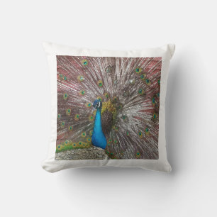 Peacock Kussen
