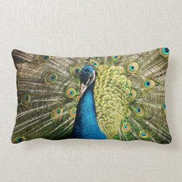 Peacock Kussen