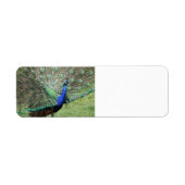 Peacock labels (Voorkant)