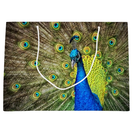 Peacock Large Cadeautasje (Voorkant)
