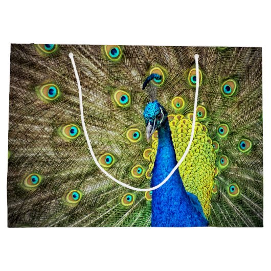 Peacock Large Cadeautasje (Achterkant)