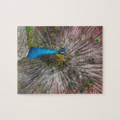 Peacock  legpuzzel (Horizontaal)