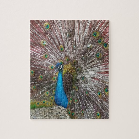 Peacock  legpuzzel (Verticaal)