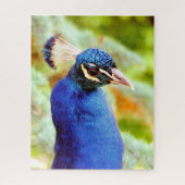 PEACOCK LEGPUZZEL (Verticaal)