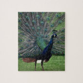Peacock Legpuzzel (Verticaal)