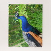 Peacock Legpuzzel (Verticaal)