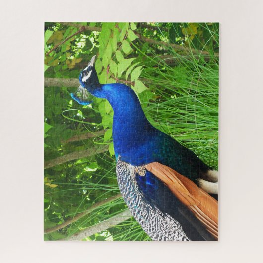 Peacock Legpuzzel (Verticaal)