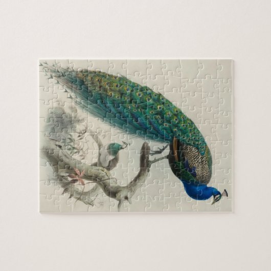 Peacock Legpuzzel (Horizontaal)