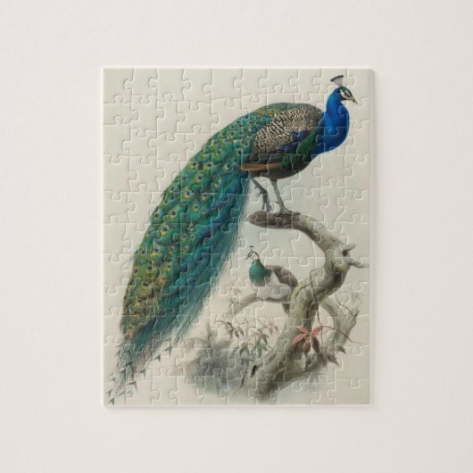  Peacock Legpuzzel (Verticaal)