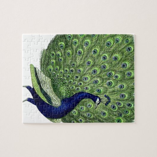  Peacock Legpuzzel (Horizontaal)