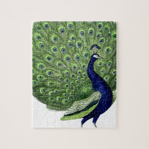Peacock Legpuzzel