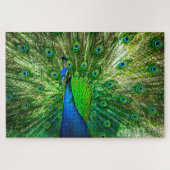Peacock Legpuzzel (Horizontaal)