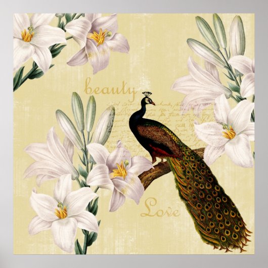 Peacock Lilies Poster (Voorkant)