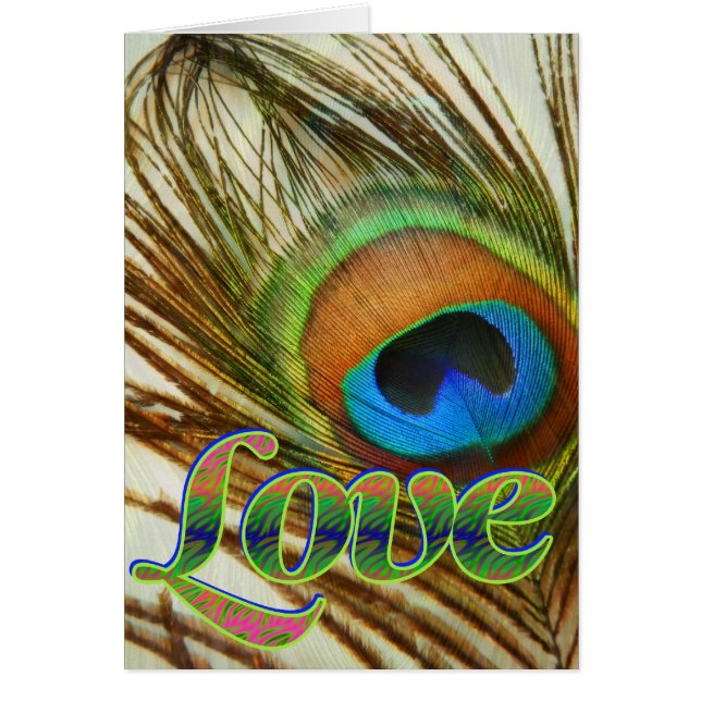 Peacock Love (Voorkant)