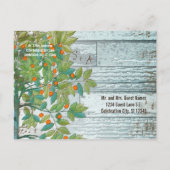 Peacock Love Bird Sitting in a Tree Save the Date Aankondigingskaart (Achterkant)