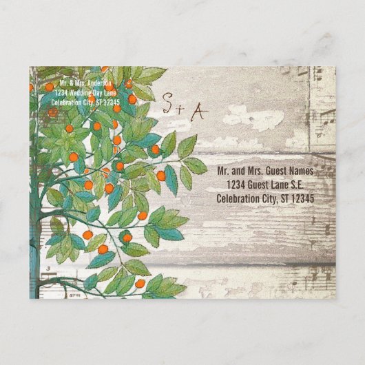 Peacock Love Bird Sitting in a Tree Save the Date Aankondigingskaart (Achterkant)