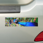 Peacock, Love_ Bumpersticker (Op auto)