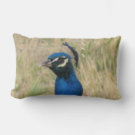 Peacock Lumbar Pillow Kussen