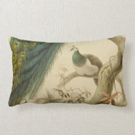  Peacock Lumbar Pillow Kussen