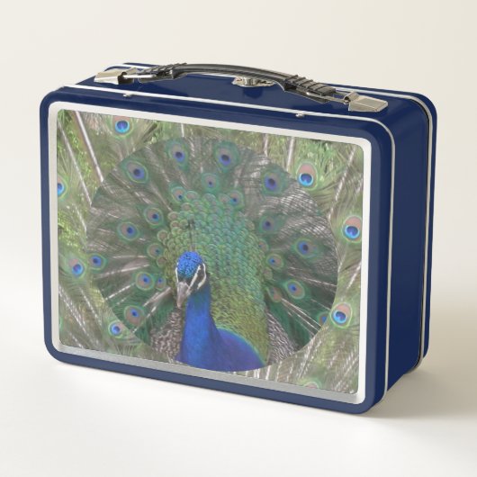 Peacock Lunchbox (Achterkant)