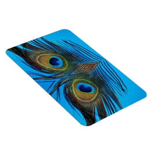 Peacock Magneet (Rechterzijde)