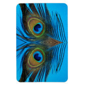 Peacock Magneet (Verticaal)