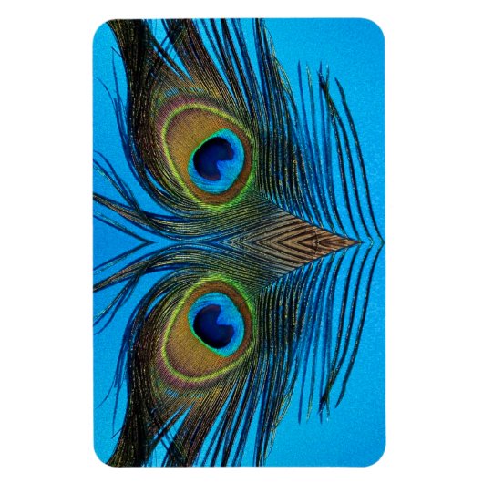 Peacock Magneet (Verticaal)