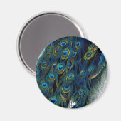  Peacock Magneet (Voorkant / Achterkant)