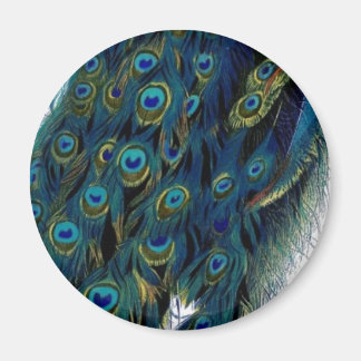 Peacock Magneet