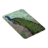 Peacock Magneet (Rechterzijde)