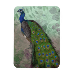 Peacock Magneet