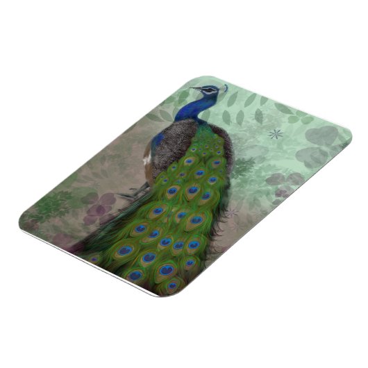  Peacock Magneet (Linkerzijde)