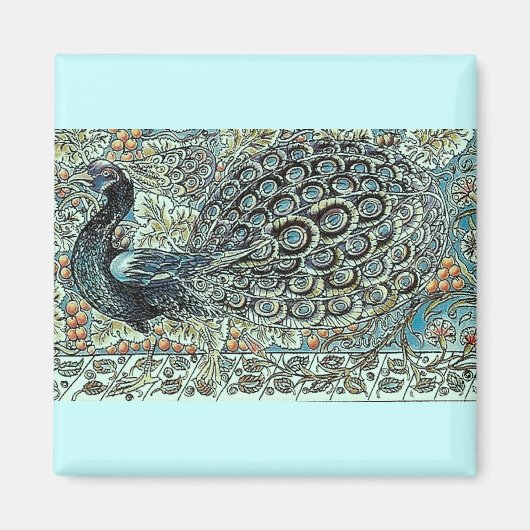 Peacock Magneet (Voorkant)