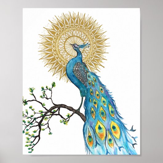 Peacock Mandala Poster (Voorkant)