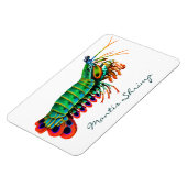 Peacock Mantis Garnaal Rif Dierlijke Magneet (Linkerzijde)