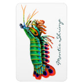 Peacock Mantis Garnaal Rif Dierlijke Magneet (Verticaal)