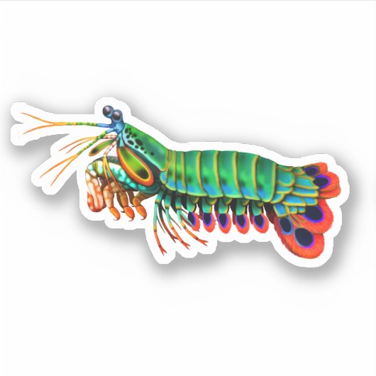 Peacock Mantis Garnalen Contour Sticker (Voorkant)