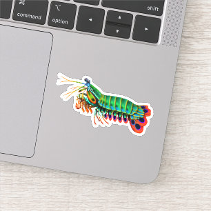 Peacock Mantis Garnalen Contour Sticker
