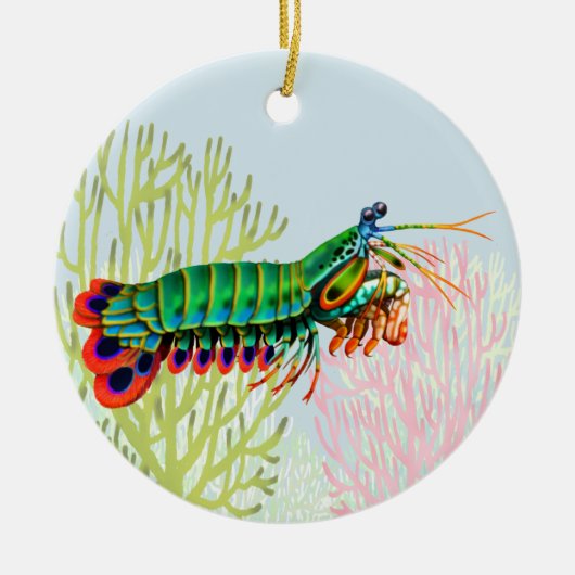 Peacock Mantis Shrimp Ornament (Voorkant)