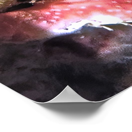 Peacock Mantis Shrimp Poster (Hoek)