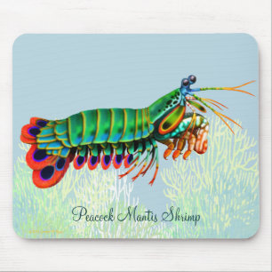 Peacock Mantis Shrimp Reef Animal Mousepad Muismat