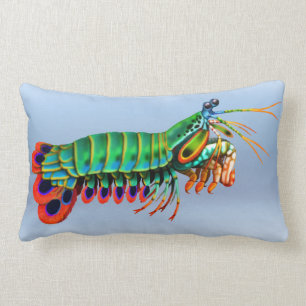 Peacock Mantis Shrimp Reef Animal Pillow Kussen