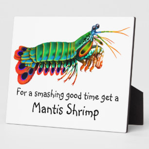 Peacock Mantis Shrimp Reef Creature Plaque Fotoplaat
