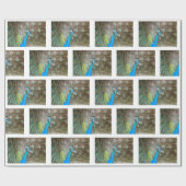 Peacock met Feathers Fanned - Wildlife Bird Foto Cadeaupapier (Vlak)