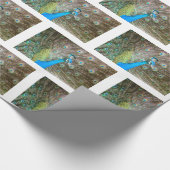 Peacock met Feathers Fanned - Wildlife Bird Foto Cadeaupapier (Hoek)