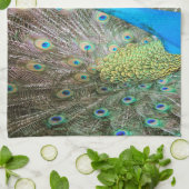 Peacock met Feathers Fanned - Wildlife Bird Foto Theedoek (Gevouwen)